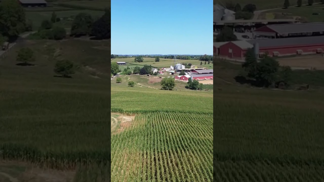 Chopping corn is my favorite time of year 