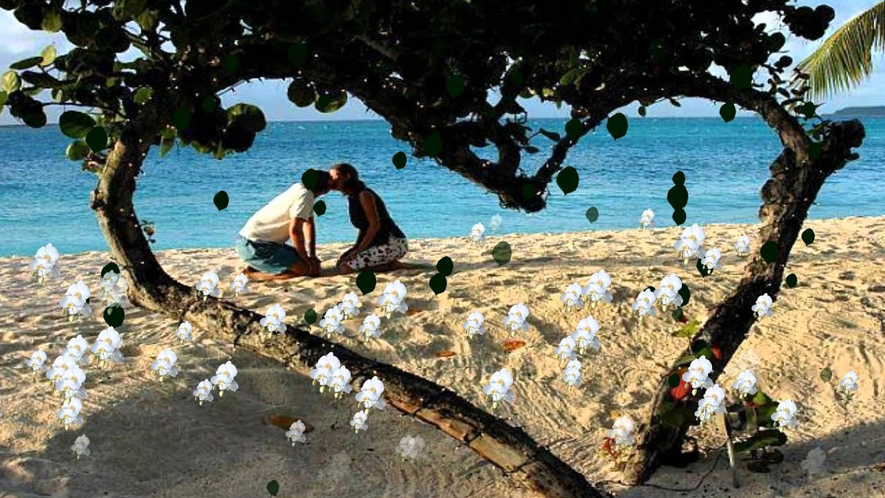 Sereno Es - Manantial