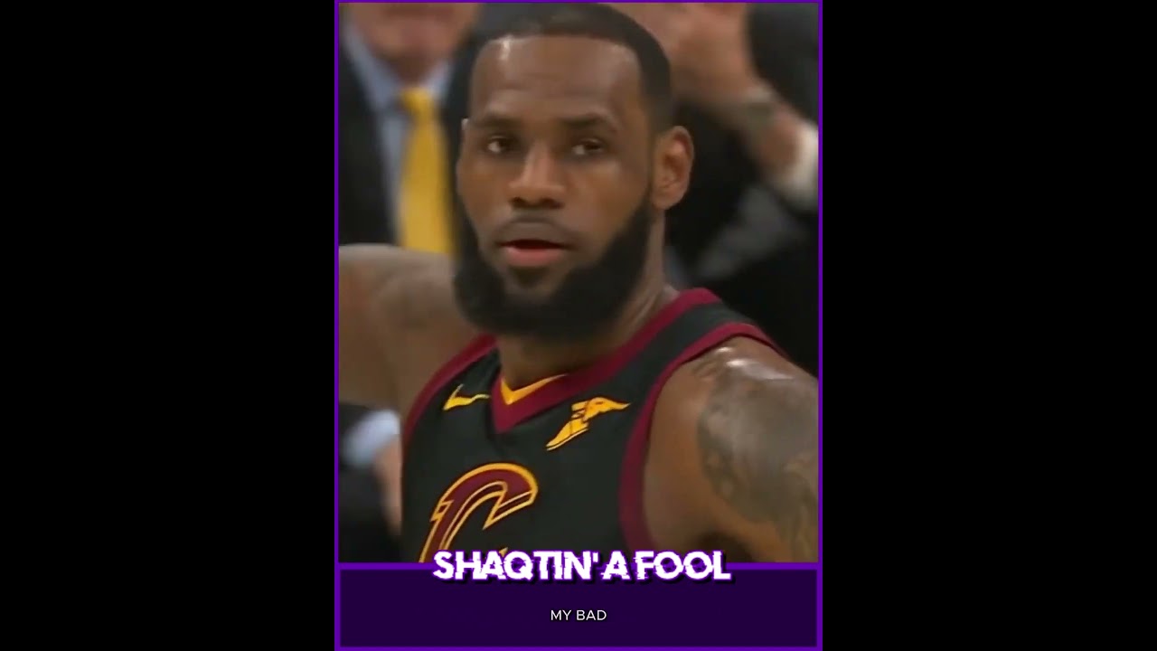 LeBron Plays the Otto Porter Defense! 