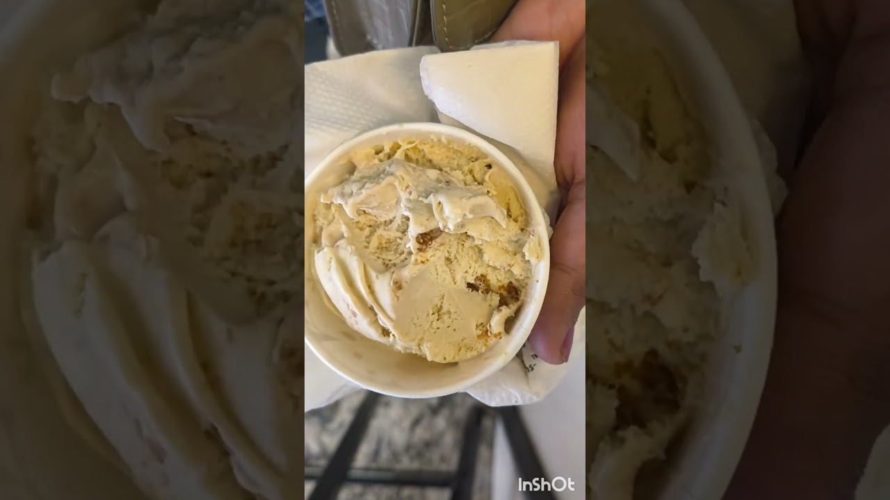 Ice cream lovers #food #viral #shorts #youtube #icecream #eating #vlog #vlogs #minivlog #fun 