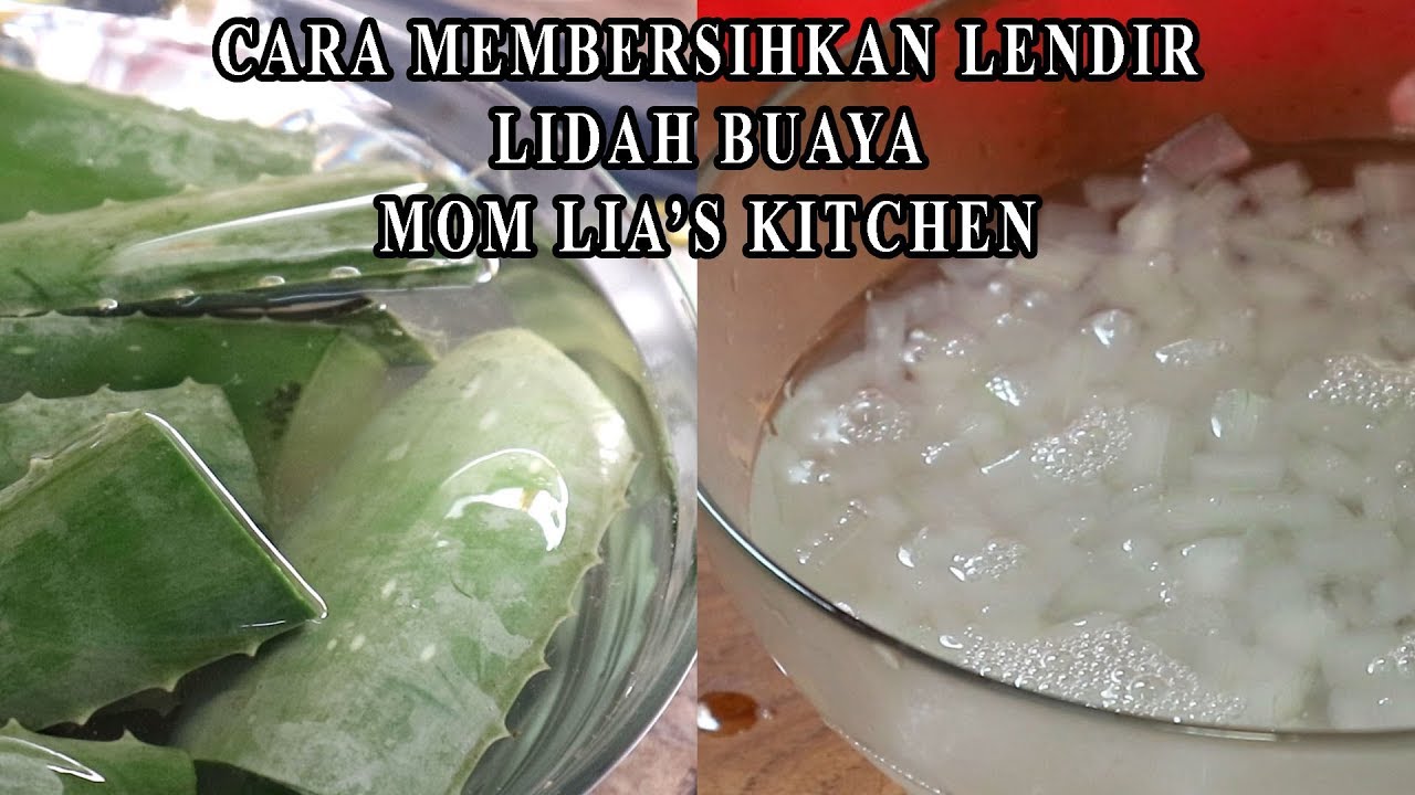 CARA MEMBERSIHKAN LIDAH BUAYA - MOM LIA'S KITCHEN