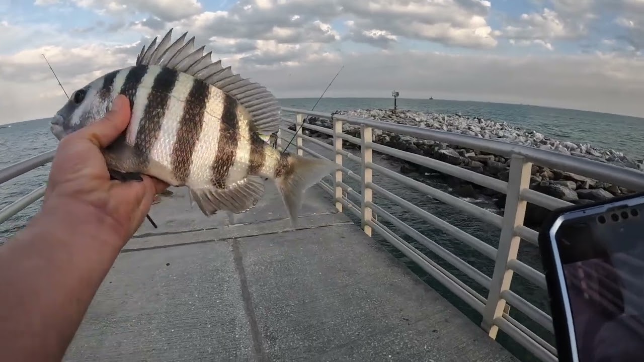 Fishing Jetty Park Pier Port Canaveral