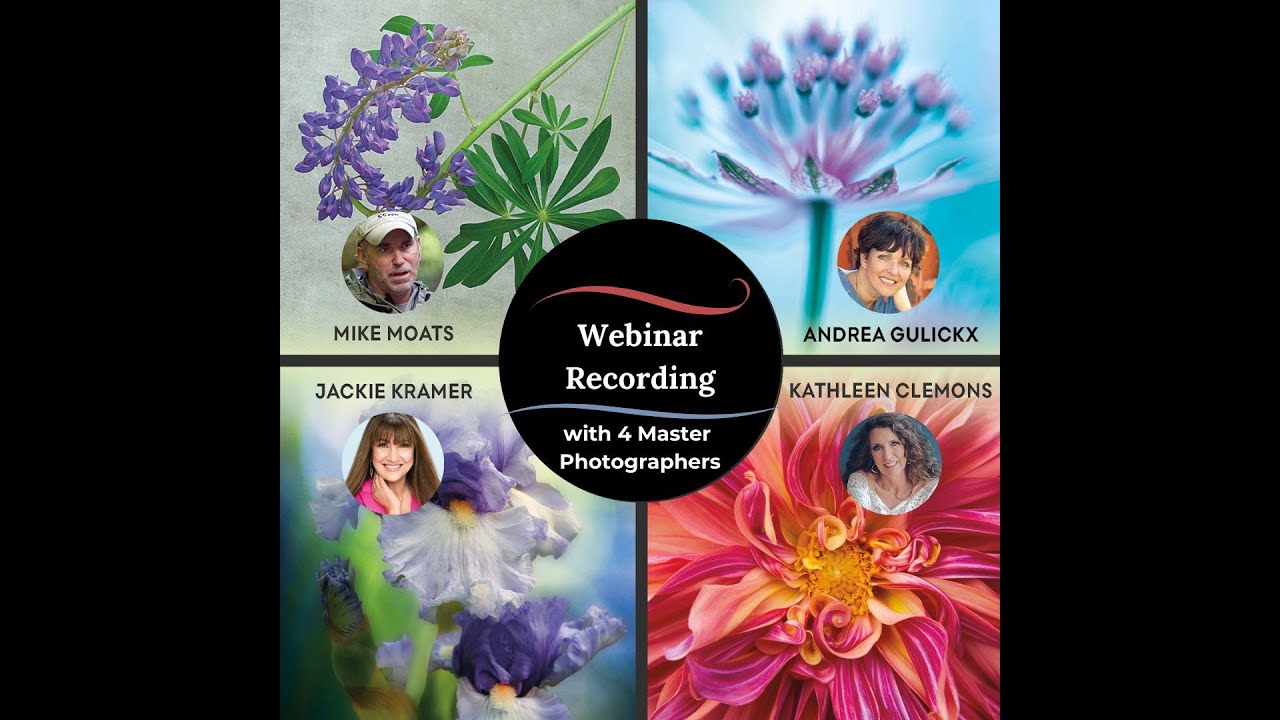 Creative Flower Photography Webinar 10-15-24