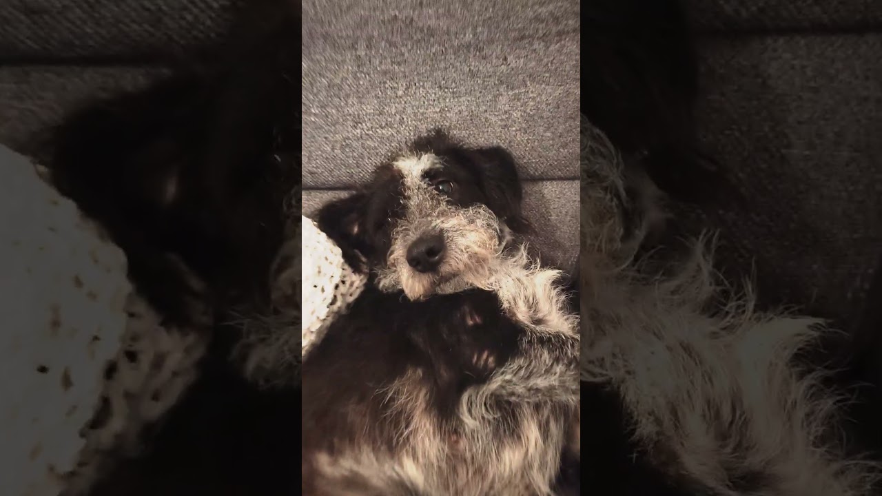 e una radio! fatto da @iagovirginiodealmeida6770