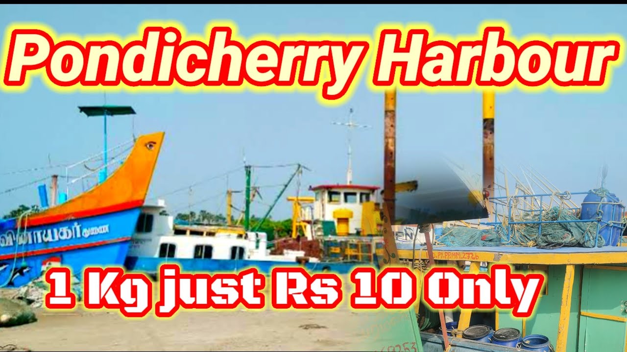 Pondicherry fishing harbour at thengaithittu in Puducherry #pondicherry_harbour #பாண்டிச்சேரி