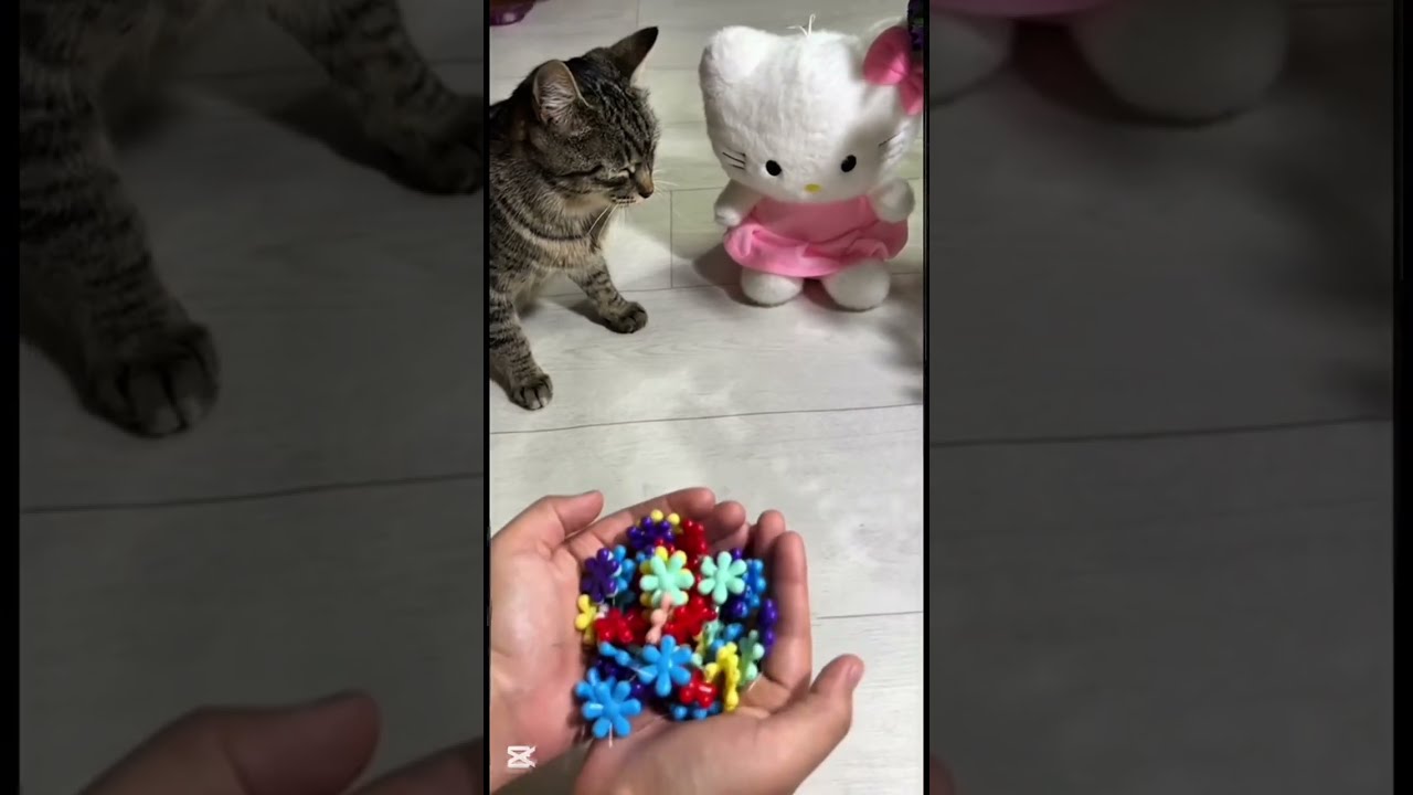 💖 Reverse Video 🌈 Relaxing.