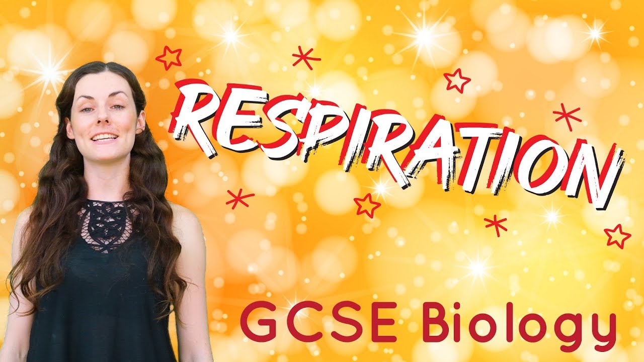 Respiration - GCSE Biology