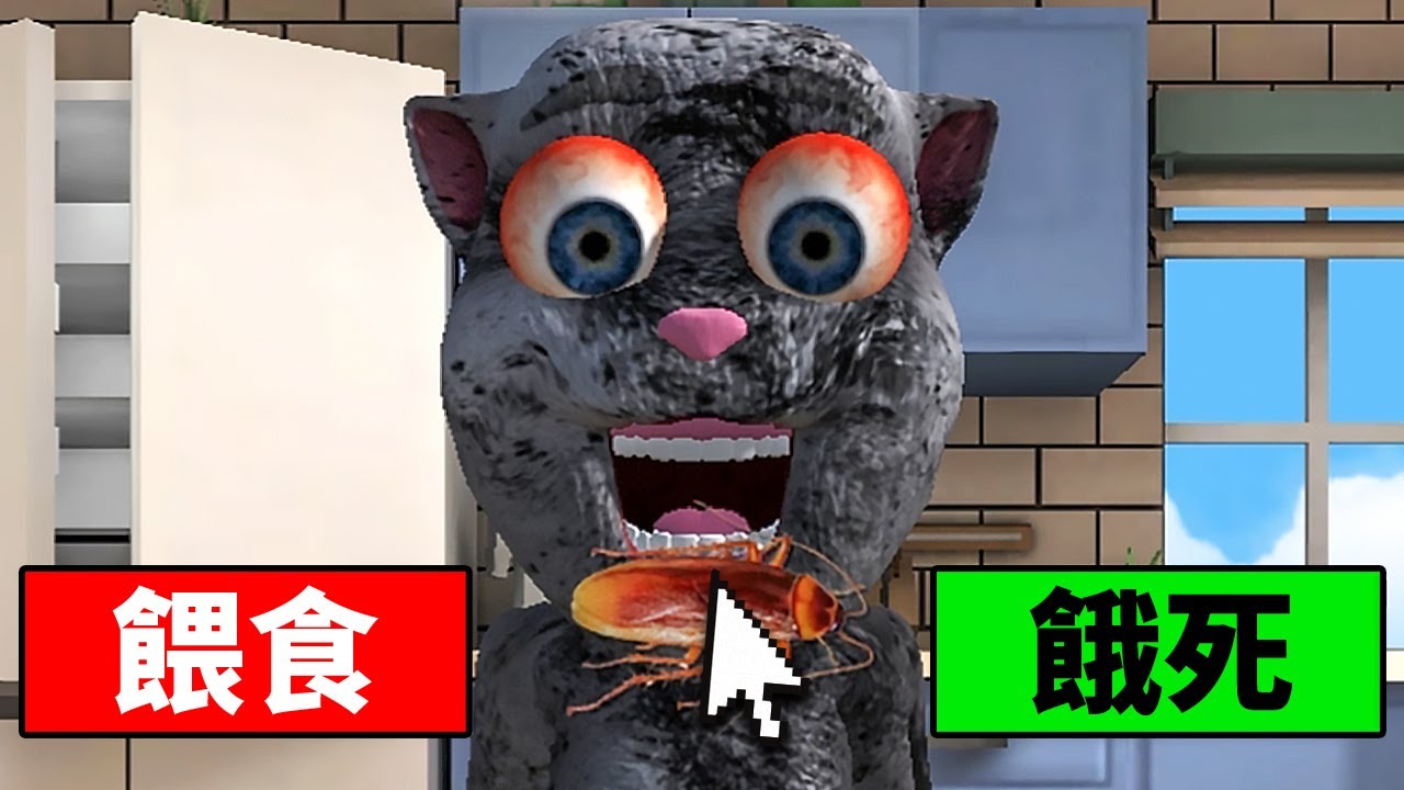 我養了一隻會講話的惡魔貓咪！😱【Talking Juan】