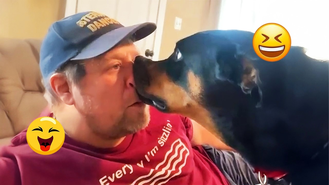 You Will Laugh Nonstop 😂🐶 Funniest Dogs on the Internet 2026! #6