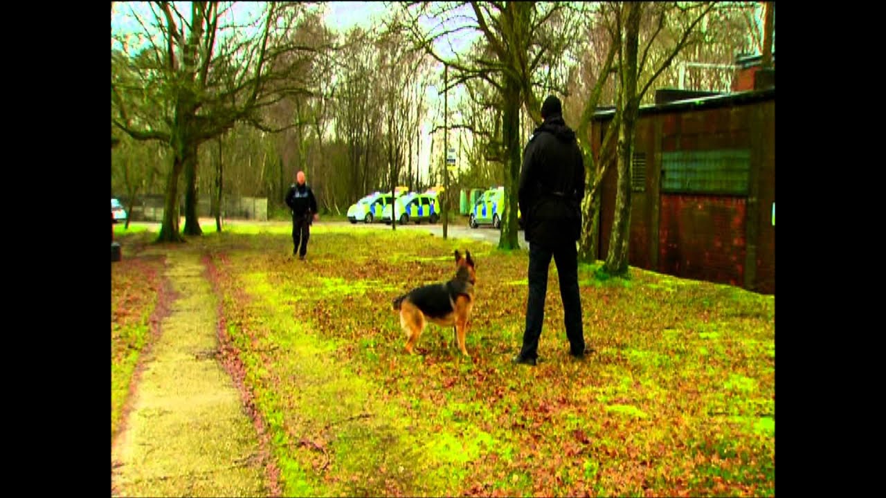 Extraordinary Dogs - Sussex Police