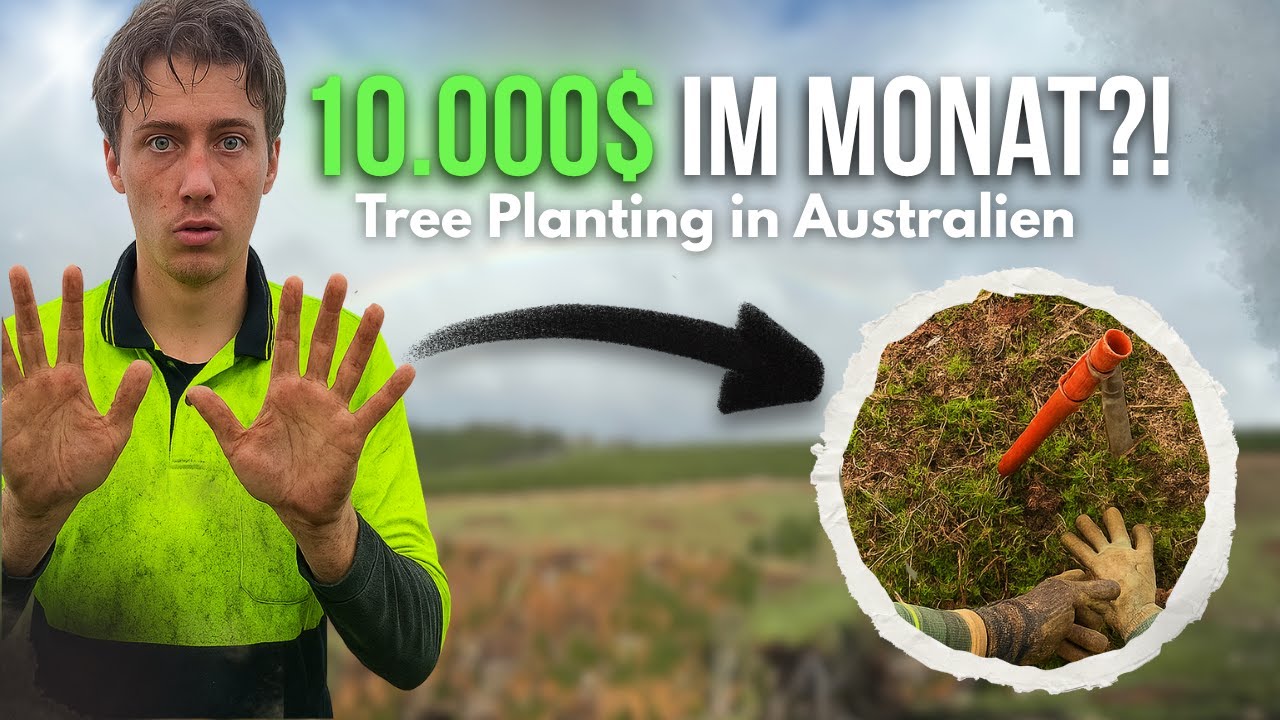 10.000$ im Monat?! So sieht ein echter Tag als Tree Planter in Australien aus | Work and Travel