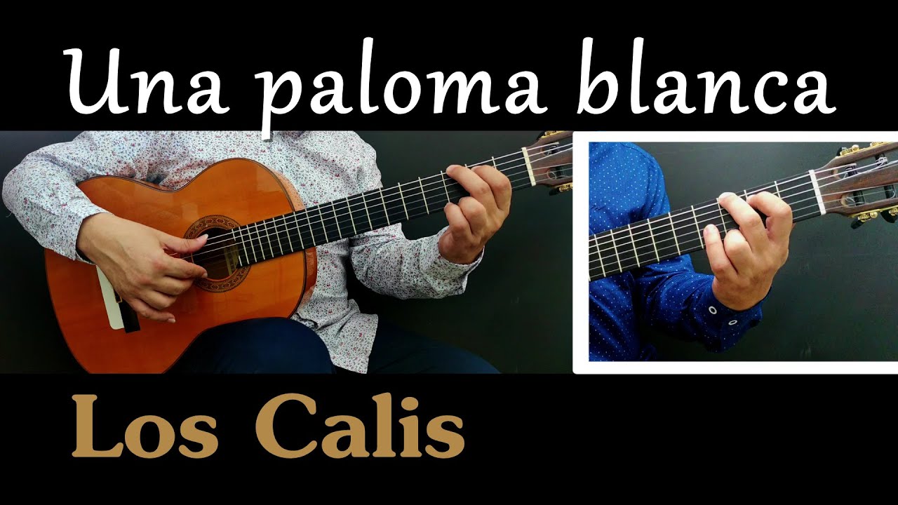 ➡️ TUTORIAL - UNA PALOMA BLANCA - LOS CALIS #rumba #unapalomablanca #calis