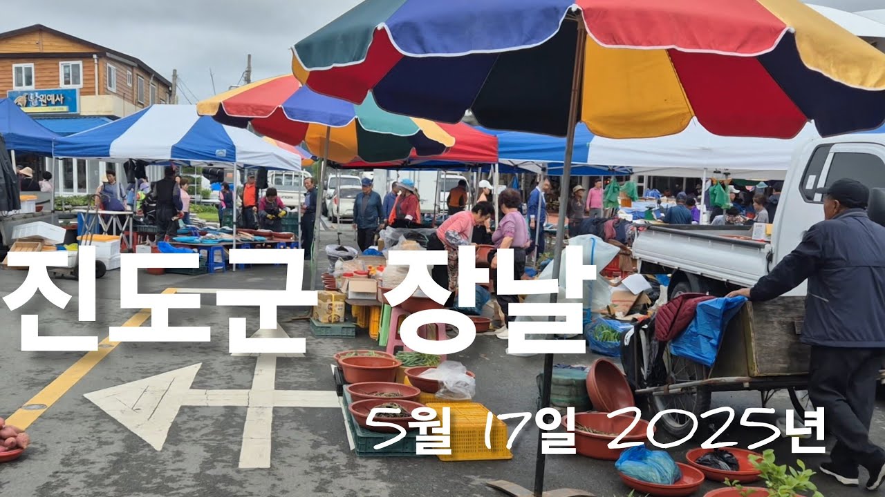진도군 장날 | Market Day in Jindo