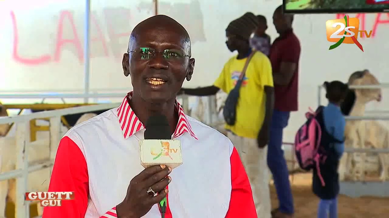 GUETT GUI DU 24 NOVEMBRE 2019 AVEC AMADOU DIALLO