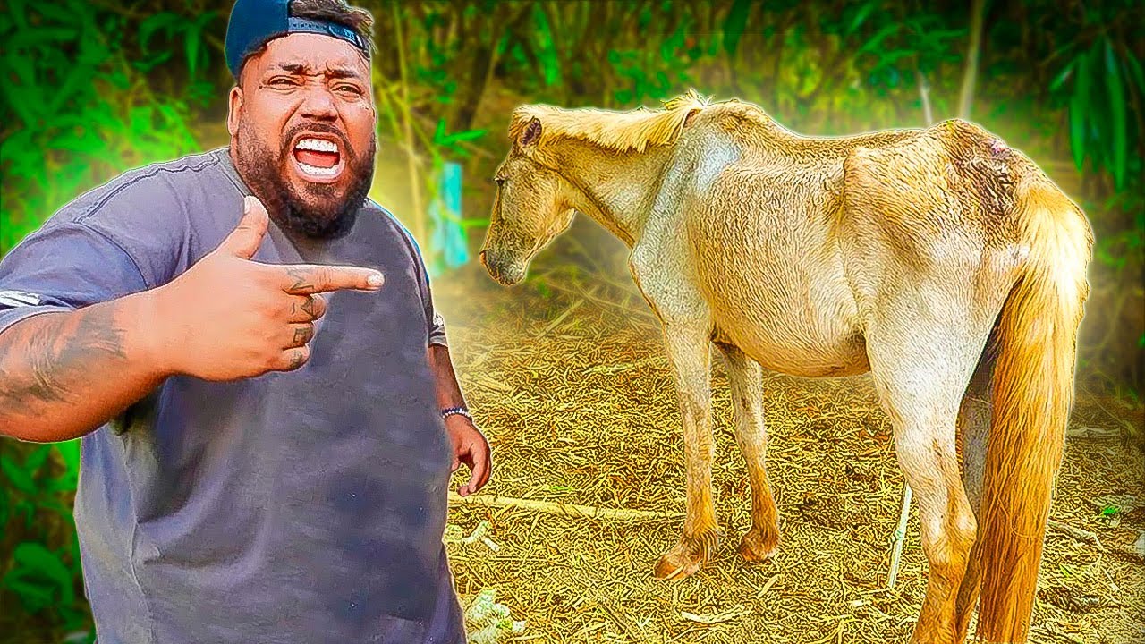 SALVEI ESSE CAVALO DA MORTE E VOU LEVAR PARA NOSSA FAZENDA !!!