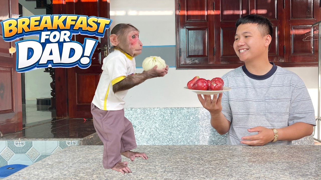 Cubis Secretly Buys Breakfast for Dad… Dad Was So Touched! ❤️