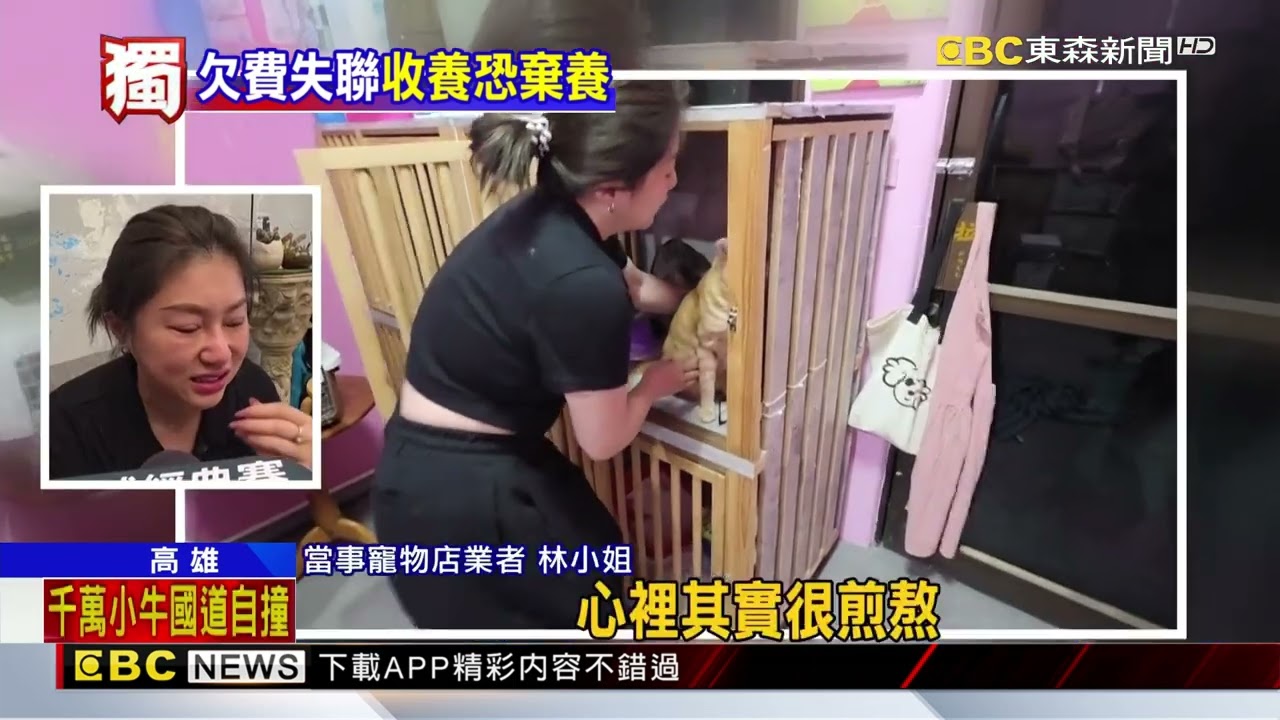 獨家》女飼主寄宿2隻貓卻欠費失聯 業者怒告詐欺@newsebc