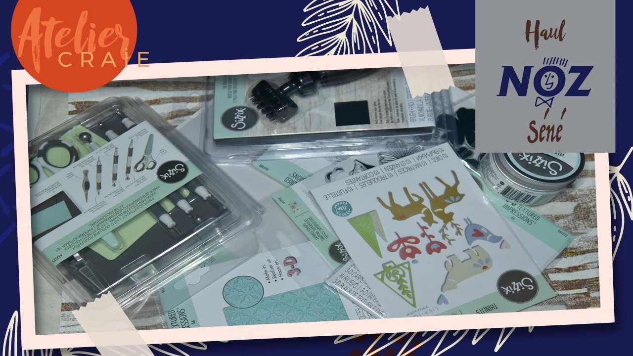 HAUL NOZ Séné | Encore des nouveautés | Tests classeurs embossages Sizzix