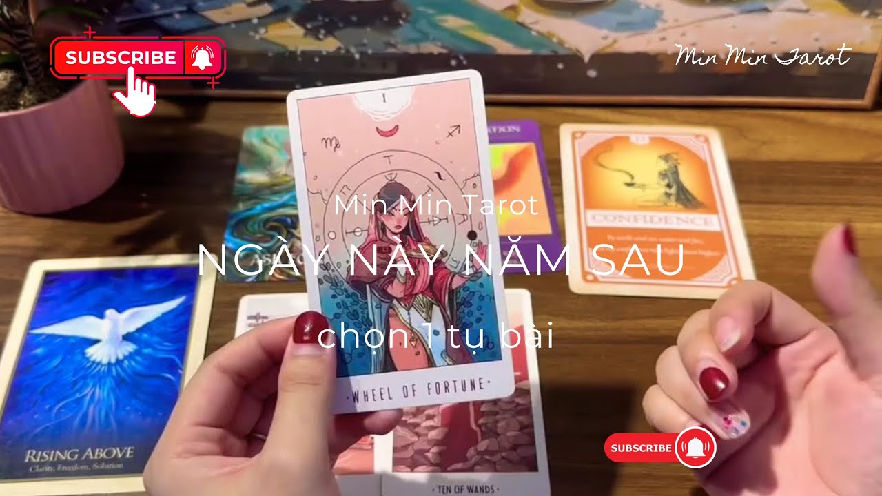 CHỌN 1 TỤ BÀI tarot: NGÀY NAY MỘT NĂM SAU