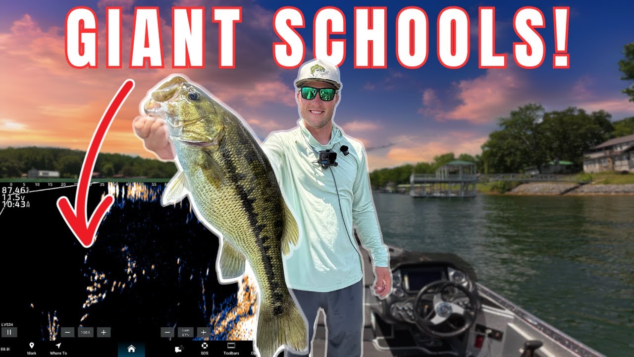 The #1 Tournament Strategy For Dominating Smith Lake | Crazy Livescope Footage!