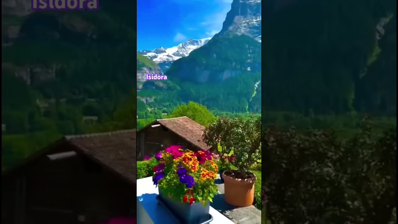 Best view 