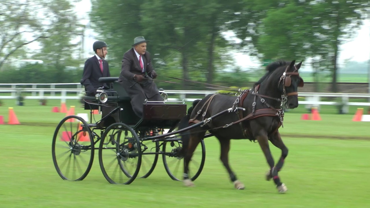 Megkezdődött az akadályhajtás versenyszám a Kinizsi Parkban (2017.05.07.)
