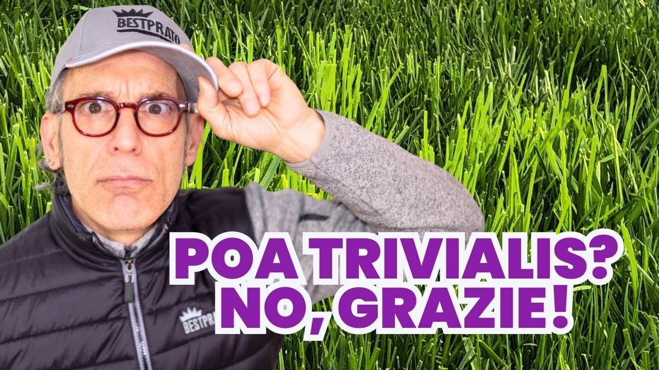 Poa Trivialis: Addio per Sempre! Il Metodo Definitivo