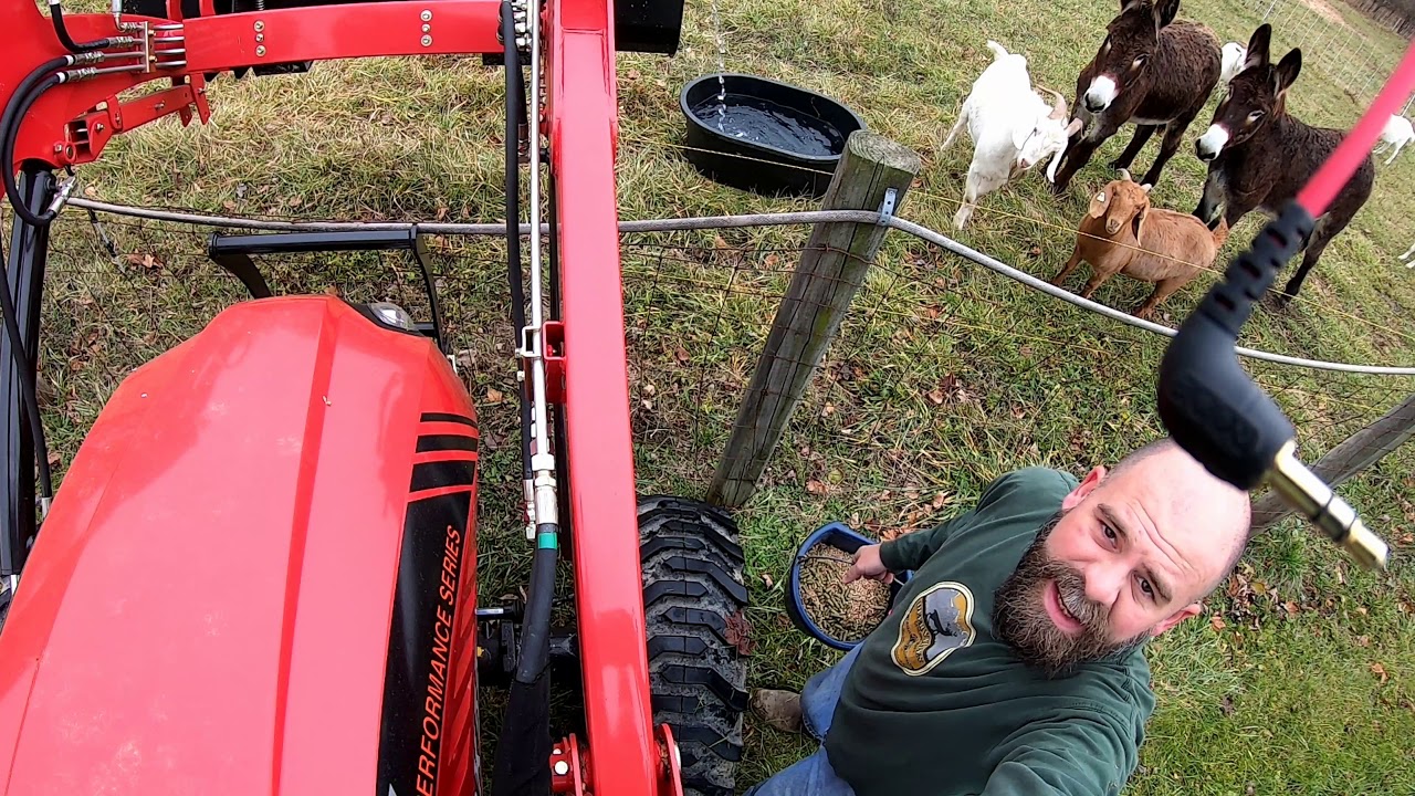 Using Rural King tractor RK55 feeding hay and watering animals