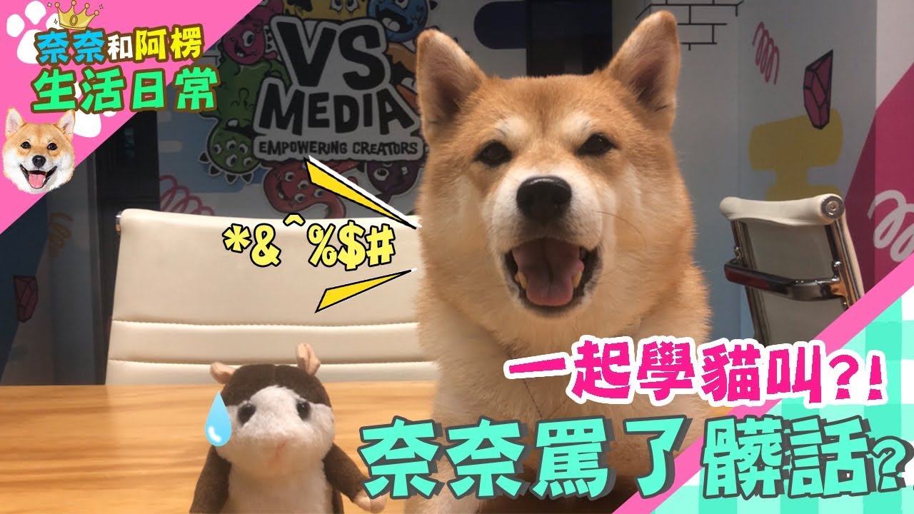 【柴犬Nana(奈奈)】一起學貓叫?奈奈罵了髒話?!