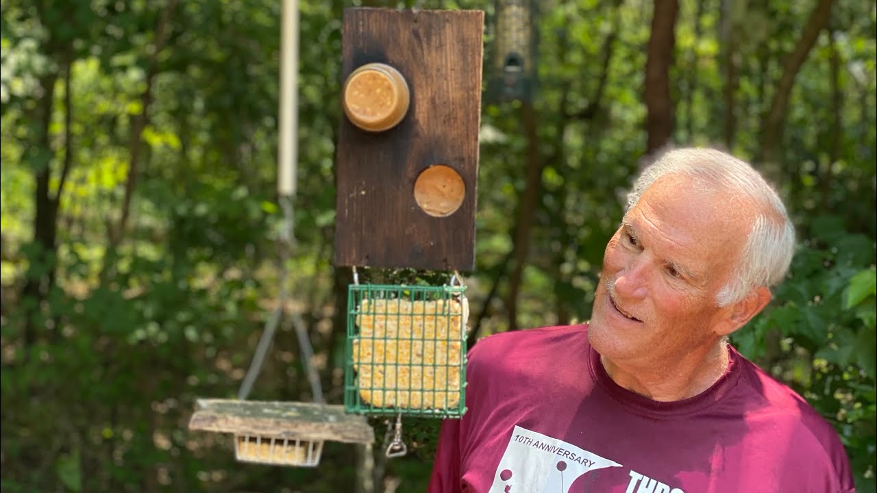 Dollar Store Suet Feeder Revisited and Revised