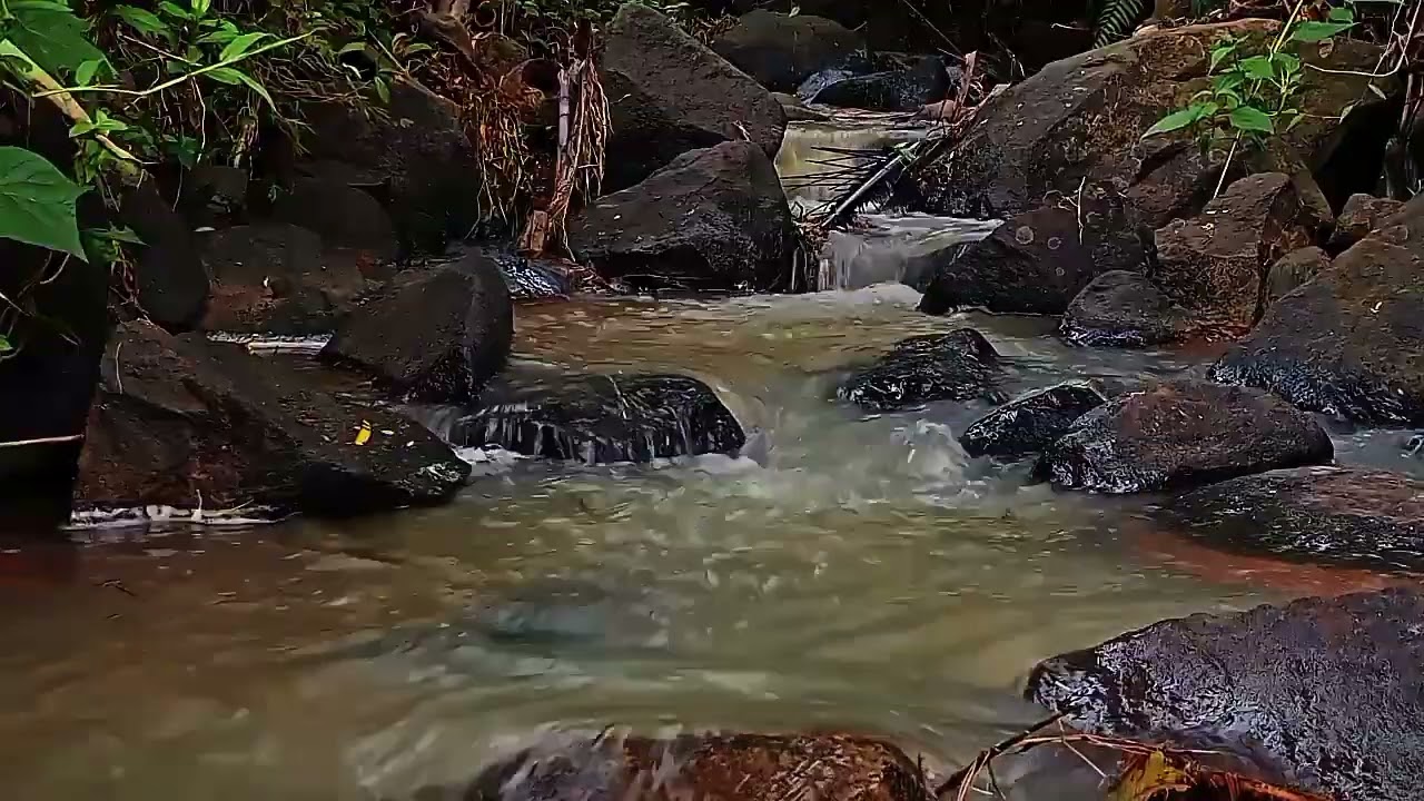 Suara air sungai mengalir begitu indah bikin hati dan pikiran menjadi tenang 