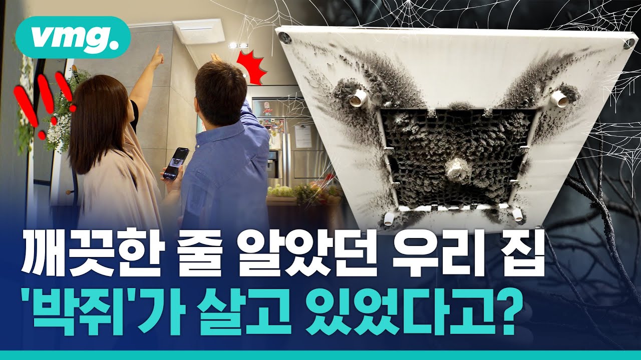 공기청정기로는 한계…환기 못 해 실내 독소 계속 쌓이면 결국 / 비디오머그
