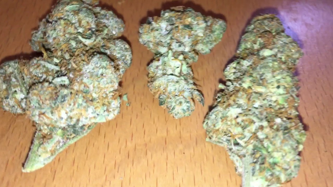 JUNGLE CAKE 🔥🔥#BUDPORN#