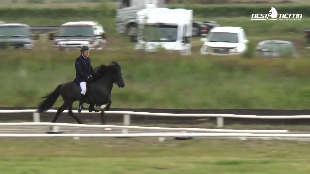 Sigurður Sigurðarson á Loka frá Selfossi