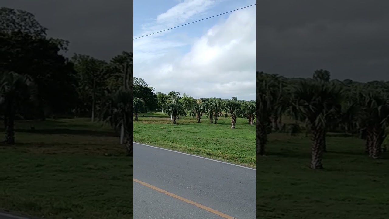 mi finca