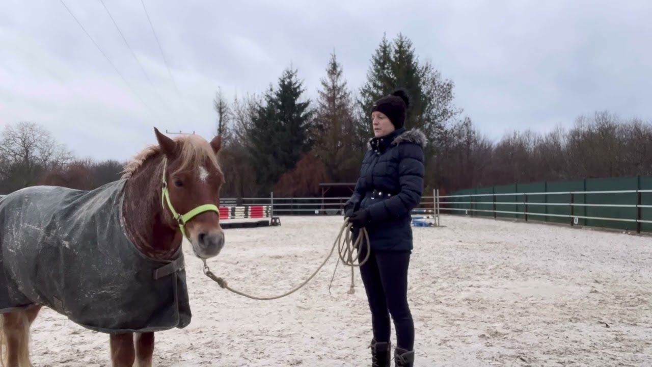 Blesk - korekce zlozvyků z kroužku - chňapání po rukách - 1.lekce