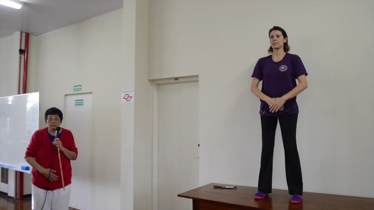 Massagem Daoyin dos Meridianos - Descrição dos Movimentos