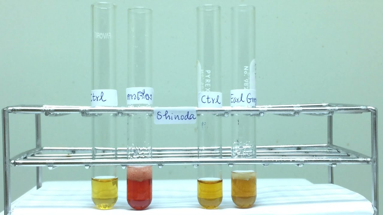 Shinoda's test_Marigold & Tea