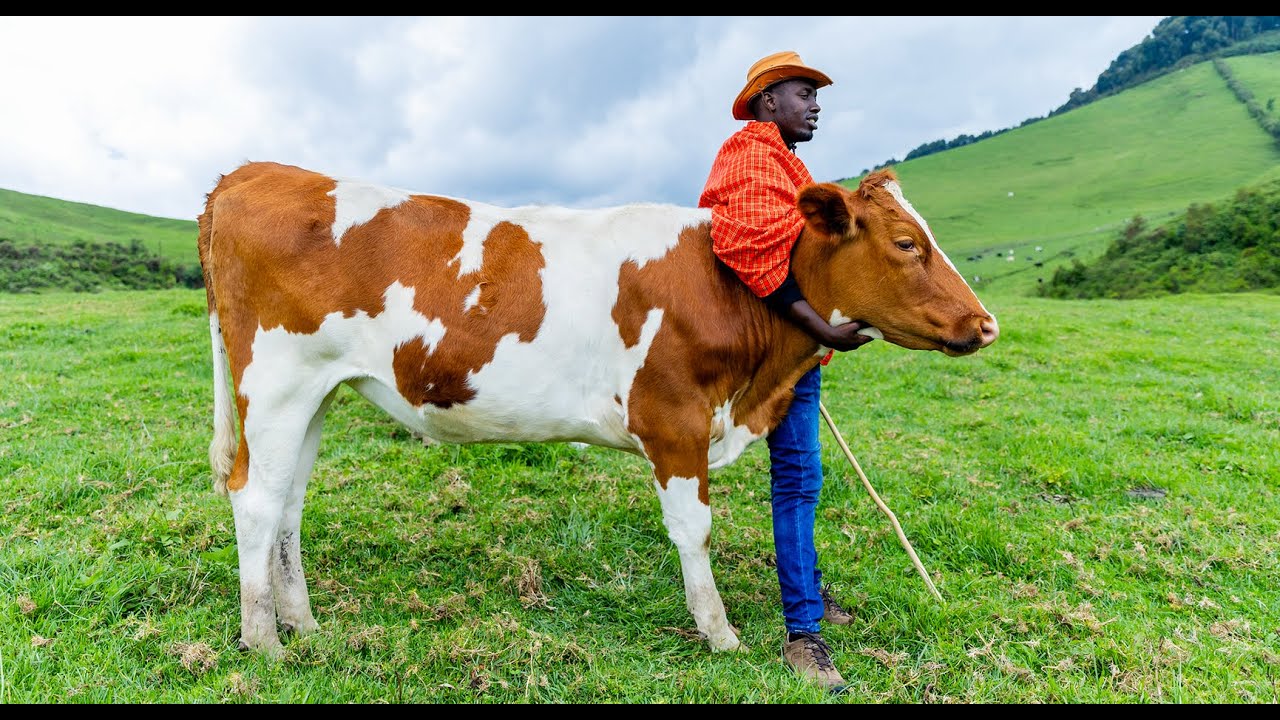 Ibere rya Bigogwe founder among contestants of BK Urumuri initiative