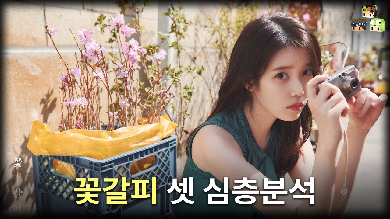 아이유의 아쉬운 도전, 꽃갈피 셋 알아보기