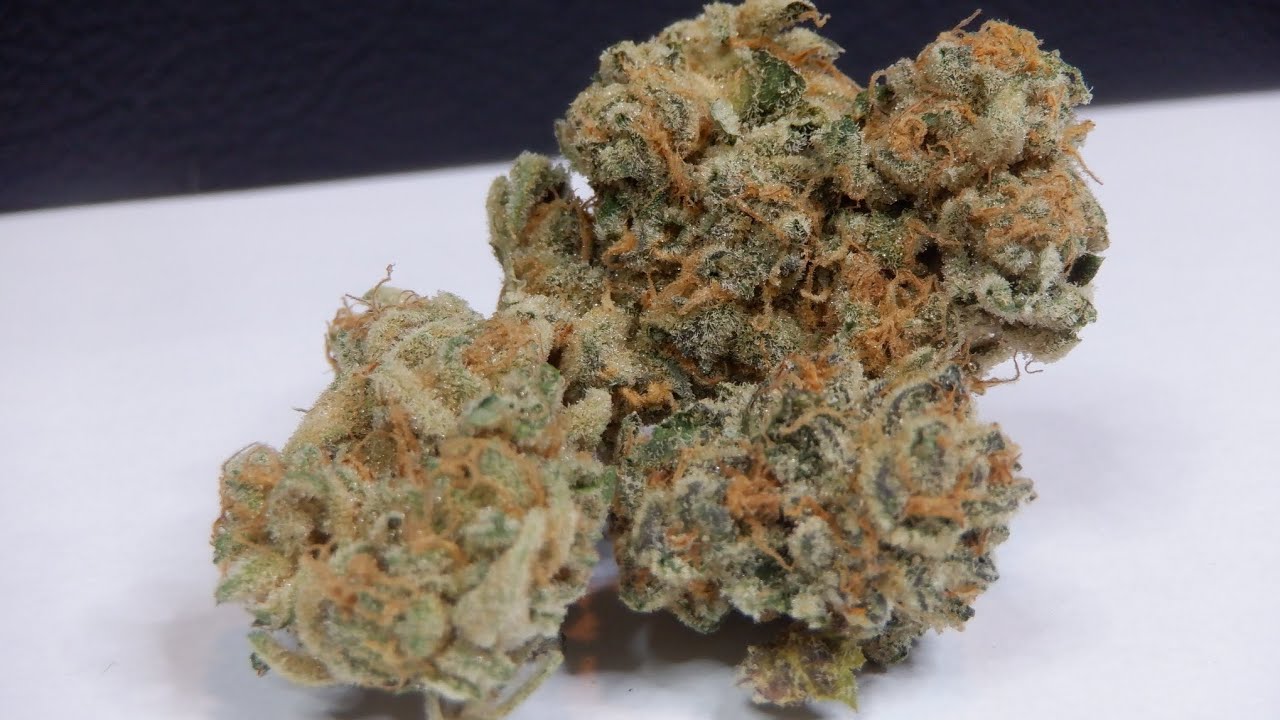 Strain Review Megaton Melon #4 By OGEN