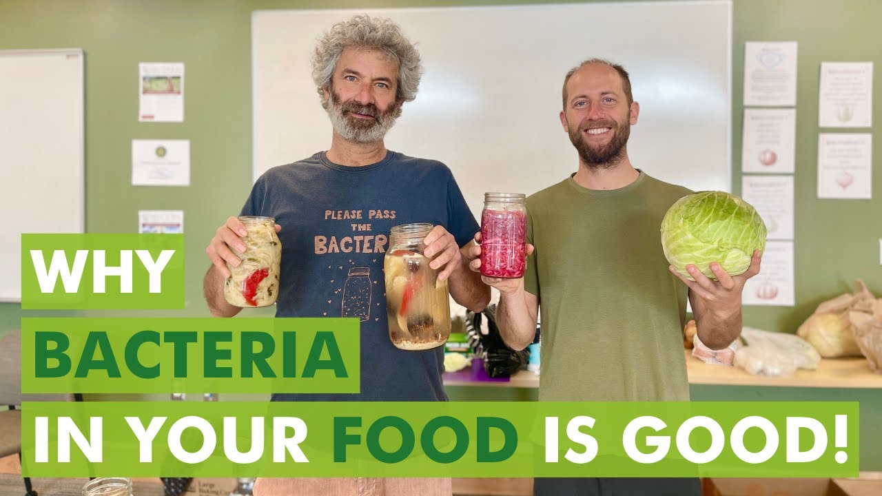 Wild Fermentation Expert Sandor Katz Busts the Myths about Fermentation!