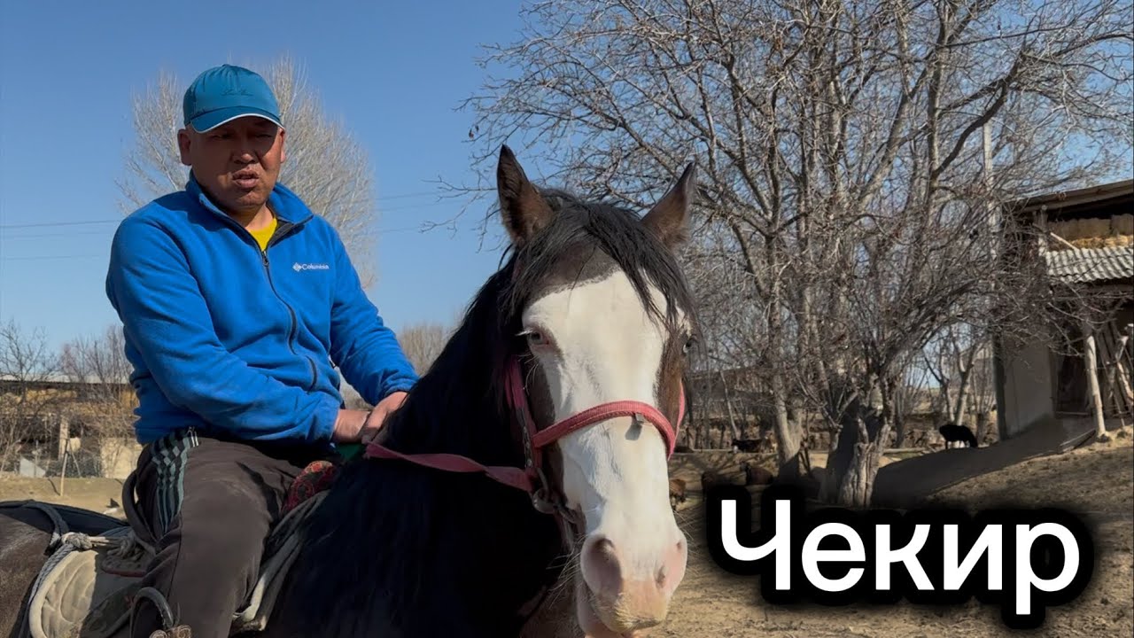 Чекир сатылат +996-554-20-60-08