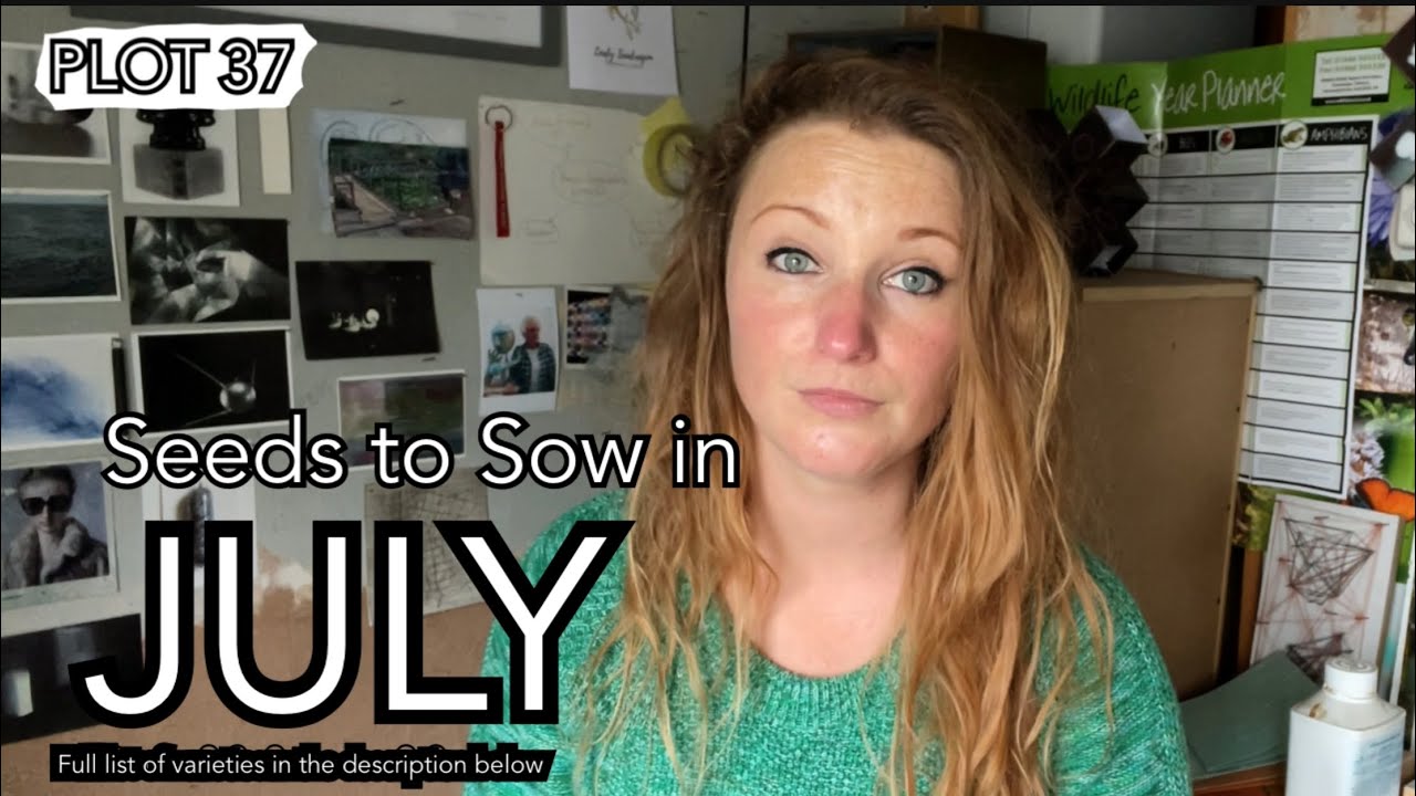 Seeds for July