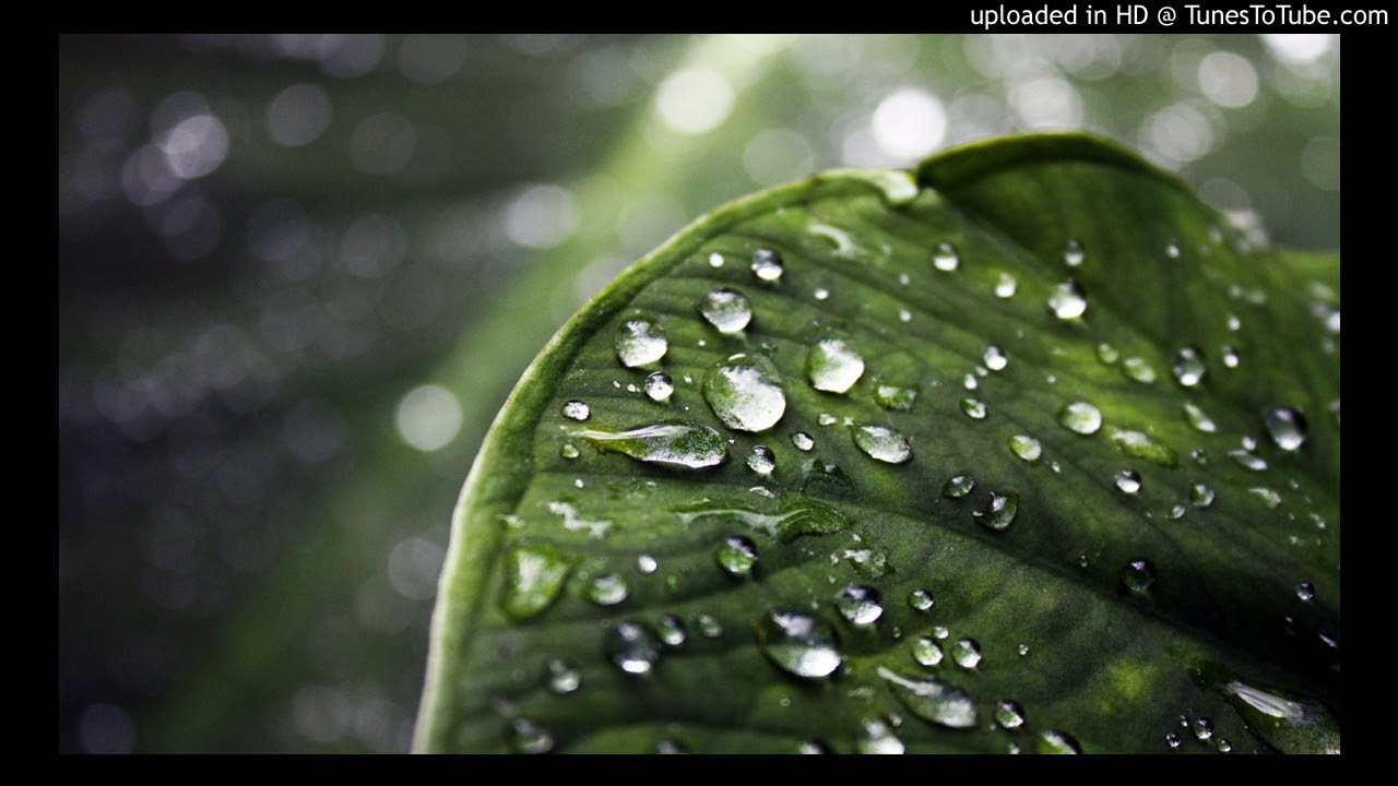 أّحمد الحجار - موسيقى أغنية 