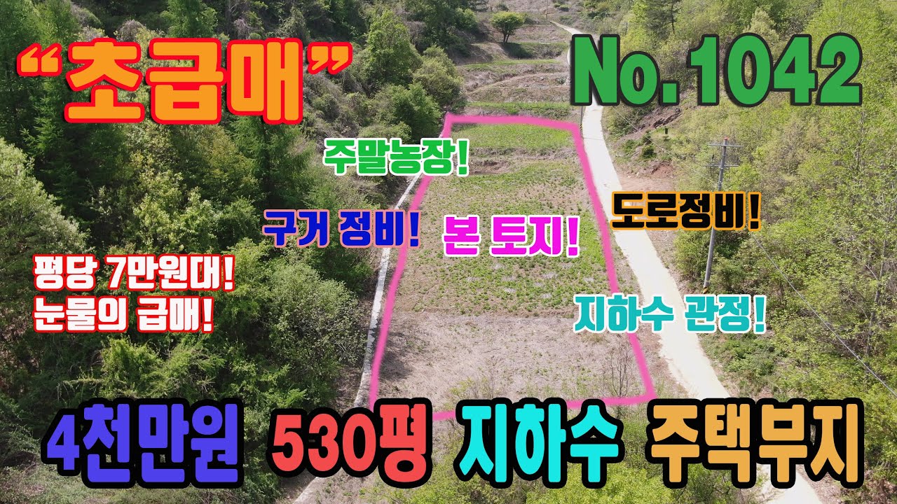 초급매 평당 7만원대 계획관리지역 지하수 관정 개발 도로 정비 구거 정비 작은 연못 4천만원! 1752㎡ 약 530평 충북 단양군 매포읍 도곡리 토지 매매 주말농장 주택부지 급매