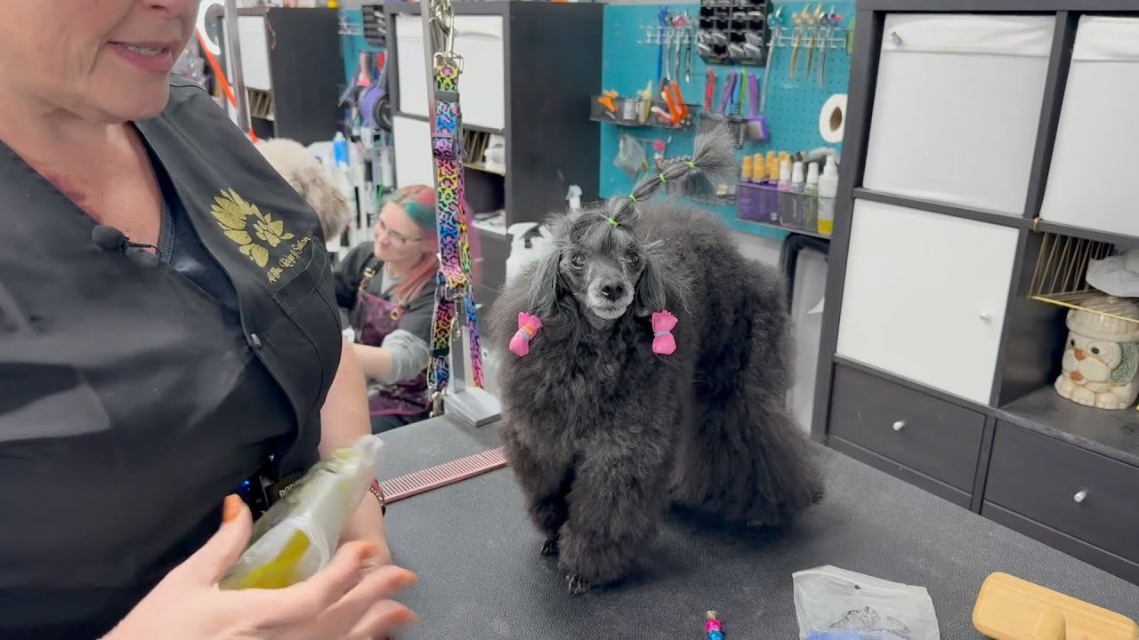 Banding Dog Hair Tutorial