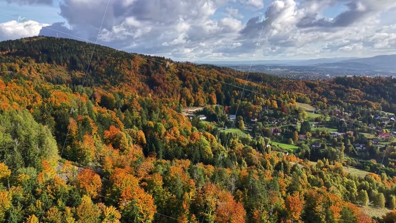 panoramic shot of picturesque hillside community showcasing seasonal trees and distant skyline