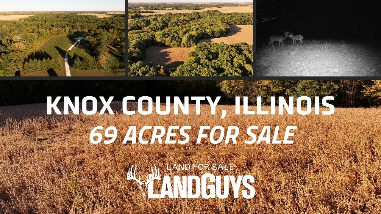 Rec farm with multiple food plot locations. Build site with shed, overlooking chestnut orchard