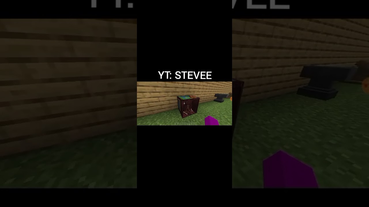 VIRAL MINECRAFT HACKS 